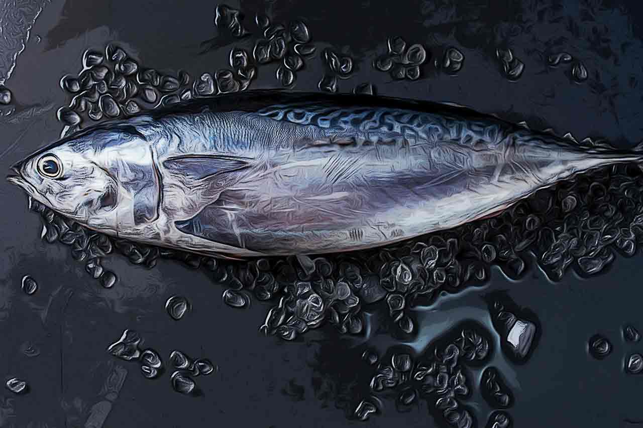 Atum: Quais seus Benefícios? É Saudável? Faz Mal? Confira_thumbnail