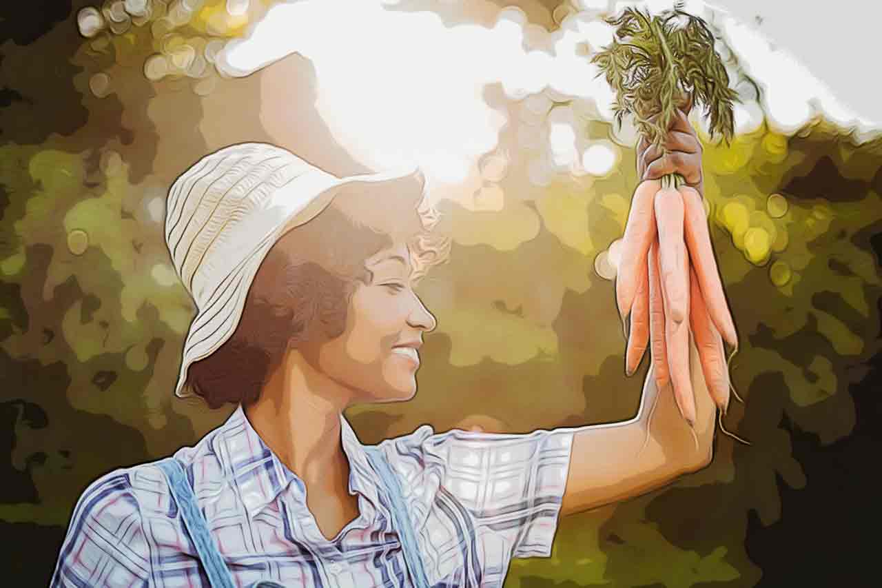 Descubra o Que a Cenoura Pode Oferecer à Sua Alimentação_thumbnail