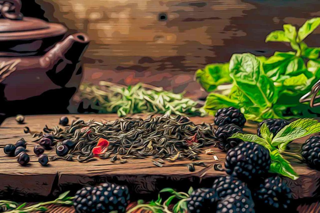 chá-de-folha-de-amora