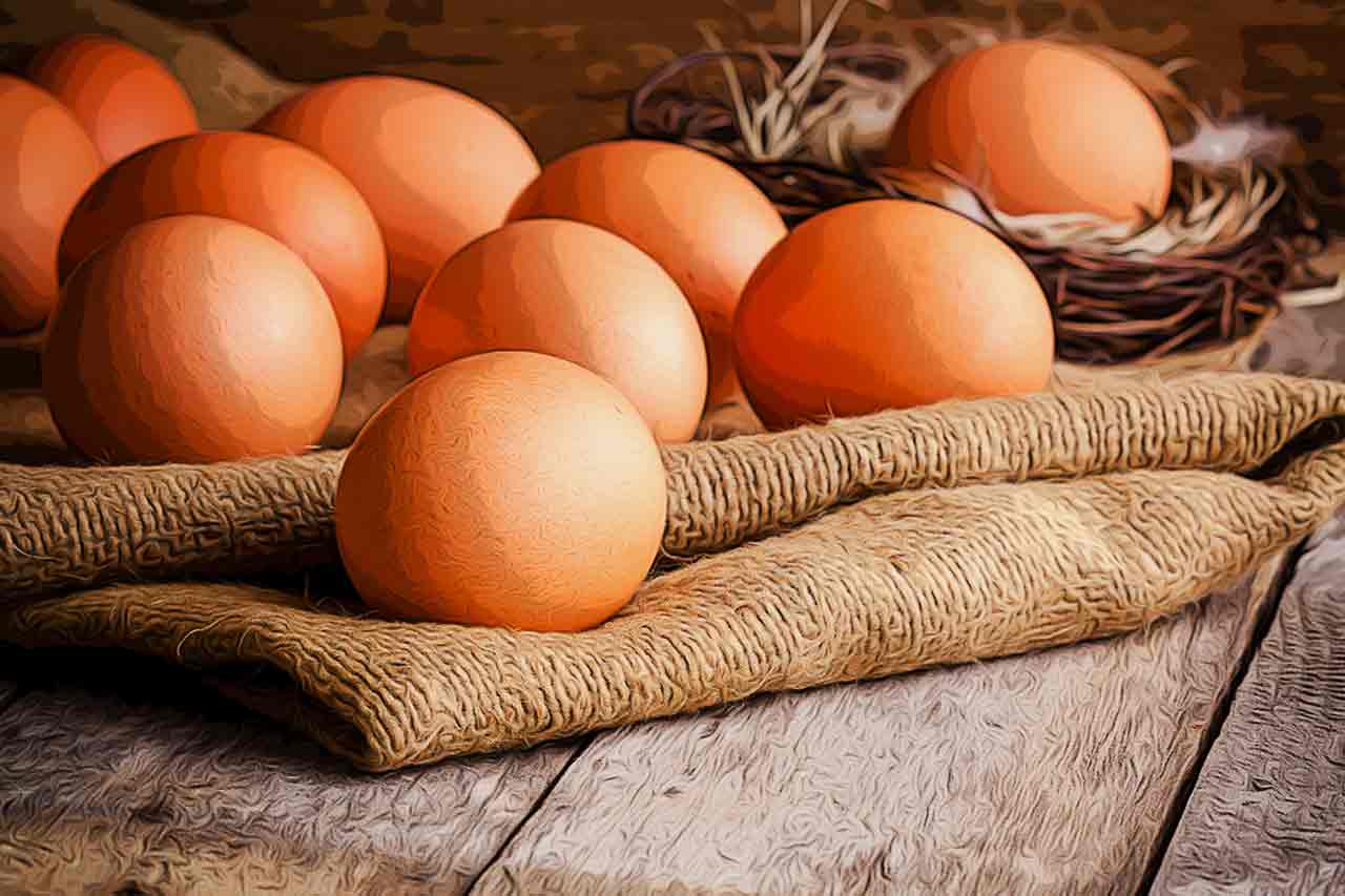 O que o Ovo Caipira tem de diferente dos Ovos convencionais?_thumbnail