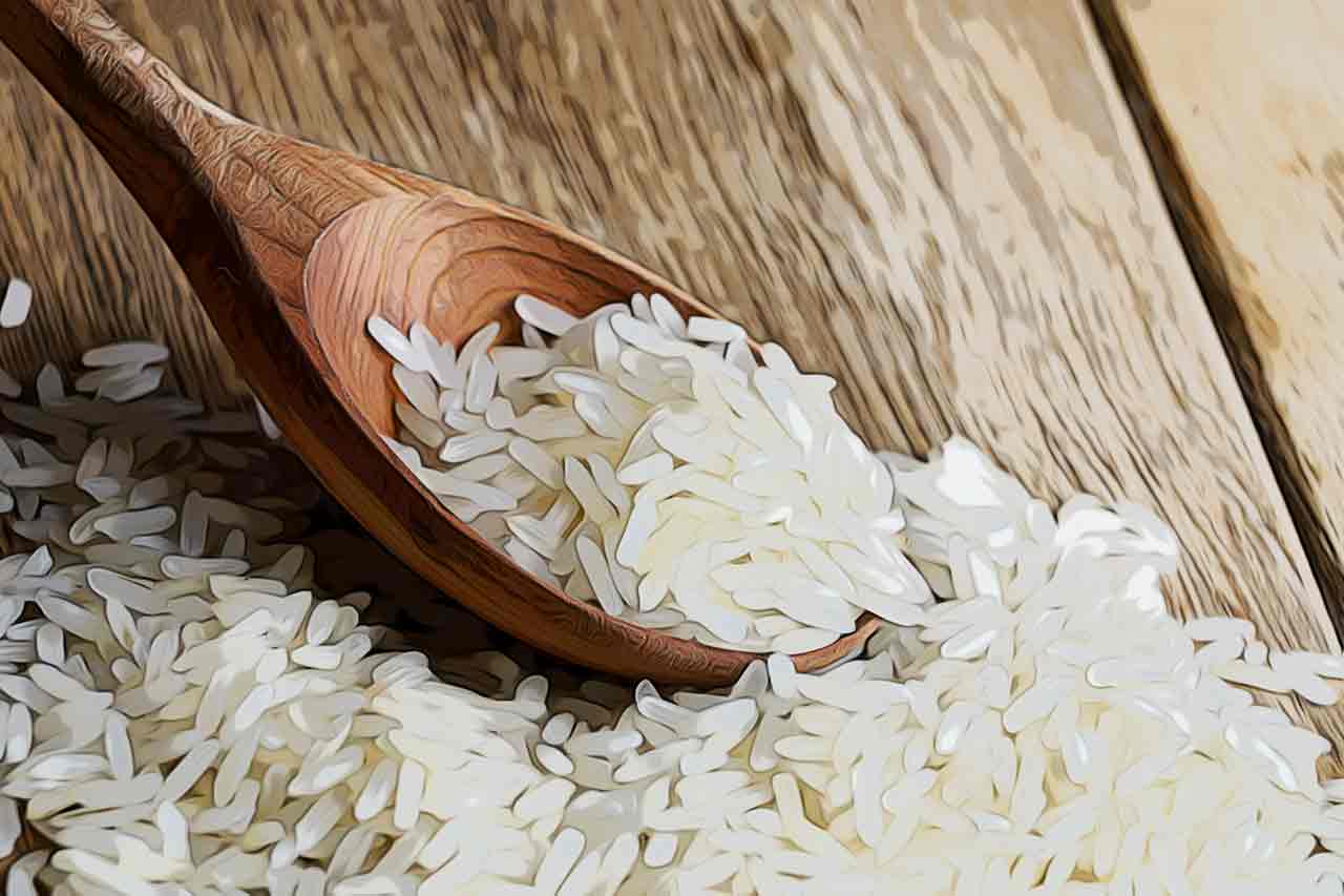 Arroz: Diferenças dos Seus Tipos e Como o Cultivo Começou_thumbnail