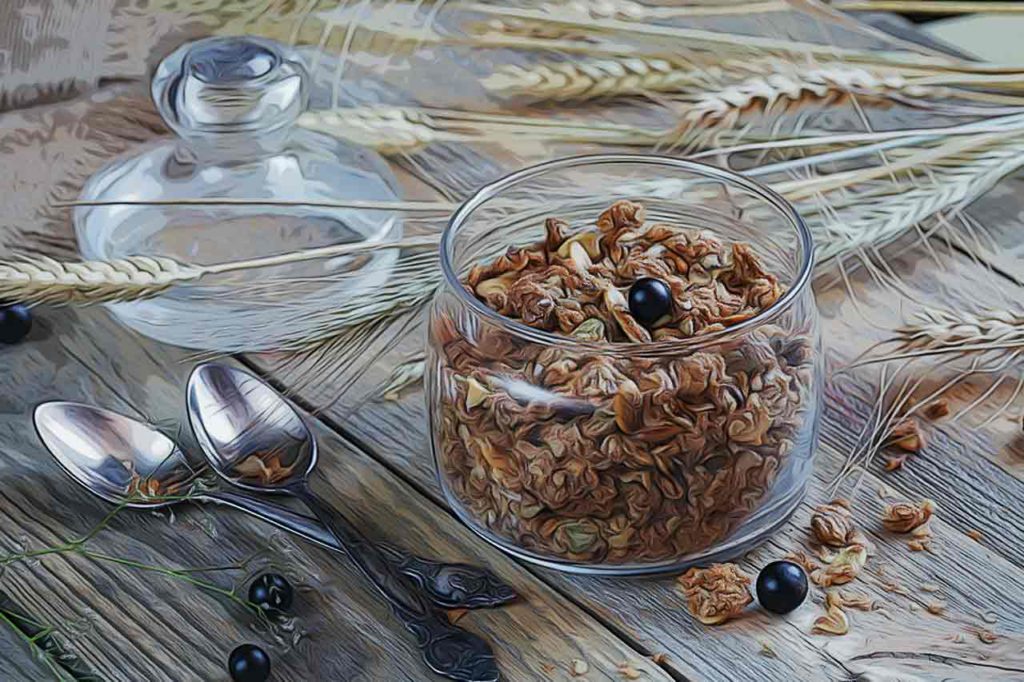 fibras alimentares e ansiedade